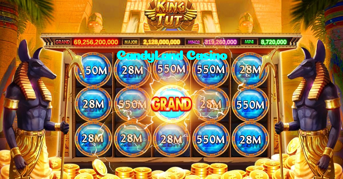 available types of CandyLand Casino bet including pre-match live express and system bets